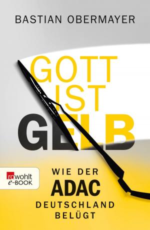 Cover of the book Gott ist gelb by Jilliane Hoffman