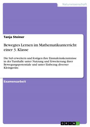 Cover of the book Bewegtes Lernen im Mathematikunterricht einer 3. Klasse by Johannes Stößel