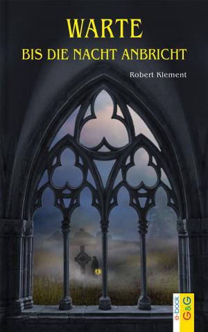 Cover of the book Warte, bis die Nacht anbricht by Martin Selle