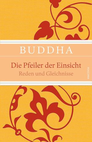 Book cover of Die Pfeiler der Einsicht