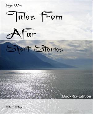 Cover of the book Tales from Afar by Claas van Zandt