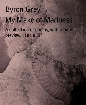 Cover of the book My Make of Madness by Ashon Thadon