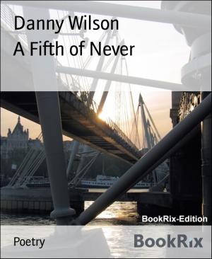 Book cover of A Fifth of Never