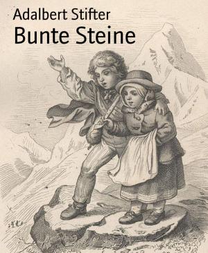 Cover of the book Bunte Steine by Pete Hackett