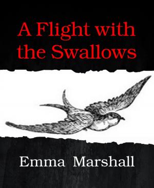 Cover of the book A Flight with the Swallows by Wolf G. Rahn