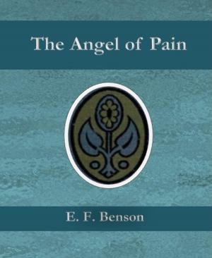 Book cover of The Angel of Pain
