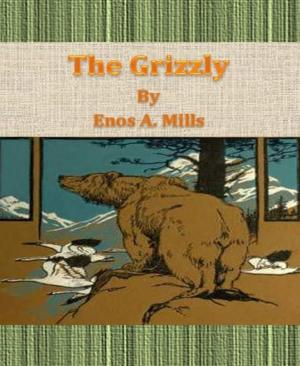 Cover of the book The Grizzly by Kooky Rooster