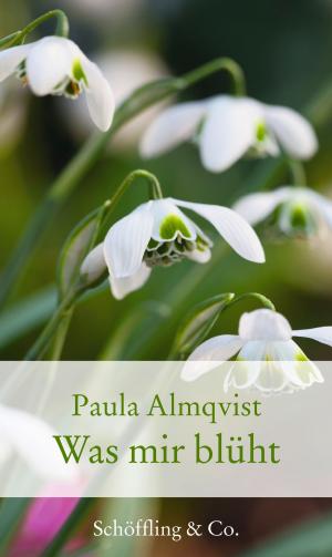 Cover of the book Was mir blüht by Paula Almqvist