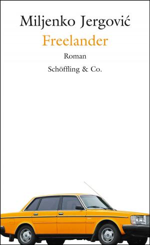 Cover of the book Freelander by Burkhard Spinnen