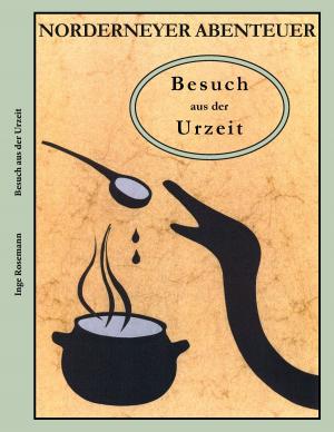Cover of the book Besuch aus der Urzeit by Moritz Ilhami