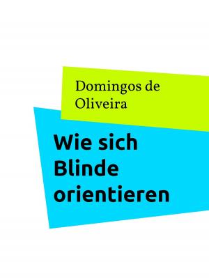 Cover of the book Wie sich Blinde orientieren by Petra Gutkin