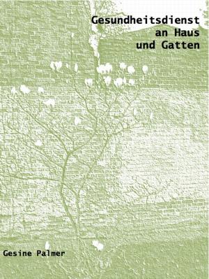 Cover of the book Gesundheitsdienst an Haus und Gatten by Petra Gutkin