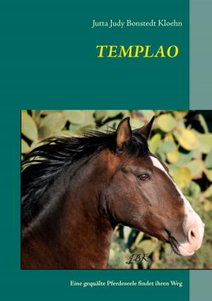 Cover of the book Templao by Gerda Gutberlet-Zerbe