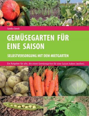 Cover of the book Gemüsegarten für eine Saison by Susanne Meyer