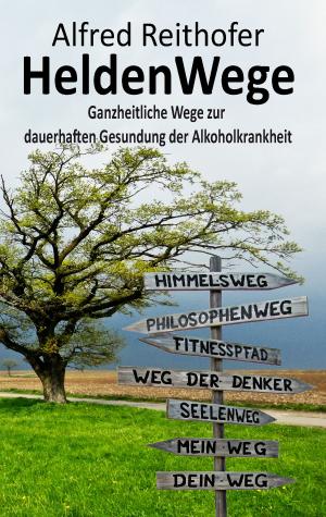 Cover of the book HeldenWege by Anne-Katrin Straesser