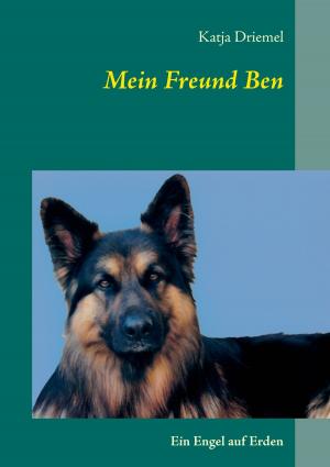 Cover of the book Mein Freund Ben by Francina Morgan (Teddy)