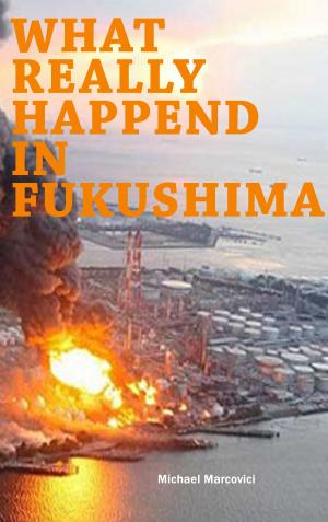 Cover of the book What really happened in Fukushima by 