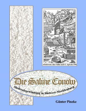Cover of the book Die Saline Conow by Ernest Renan, ofd edition