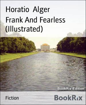 Book cover of Frank And Fearless (Illustrated)