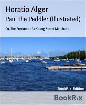 Book cover of Paul the Peddler (Illustrated)