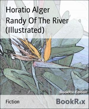 Book cover of Randy Of The River (Illustrated)