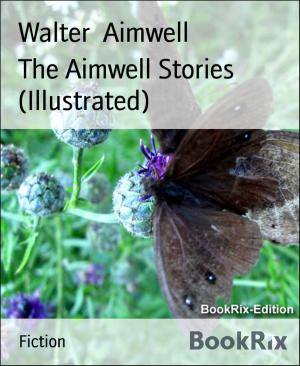 Cover of the book The Aimwell Stories (Illustrated) by Thomas West