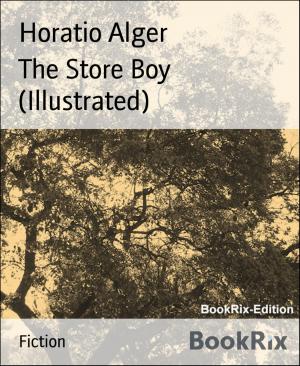 Book cover of The Store Boy (Illustrated)