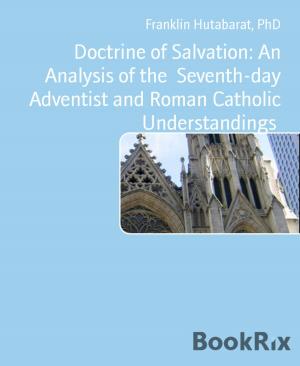 Cover of the book Doctrine of Salvation: An Analysis of the Seventh-day Adventist and Roman Catholic Understandings by Apurva Gaglani