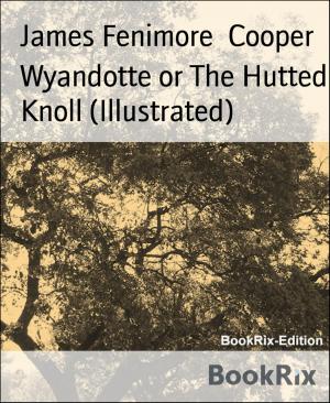 Cover of the book Wyandotte or The Hutted Knoll (Illustrated) by Holmer Rosenkranz