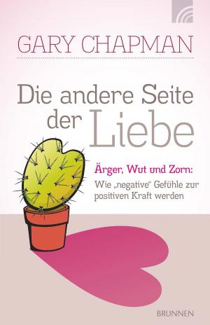 Cover of the book Die andere Seite der Liebe by David Rhodes