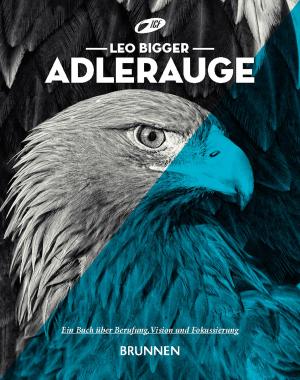 Cover of the book Adlerauge by Peter Newman