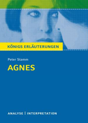 Book cover of Agnes von Peter Stamm. Königs Erläuterungen.