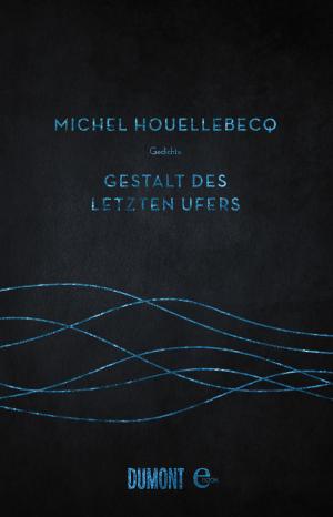 Cover of the book Gestalt des letzten Ufers by Liad Shoham