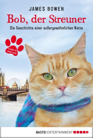 Cover of the book Bob, der Streuner by Rebecca Gablé