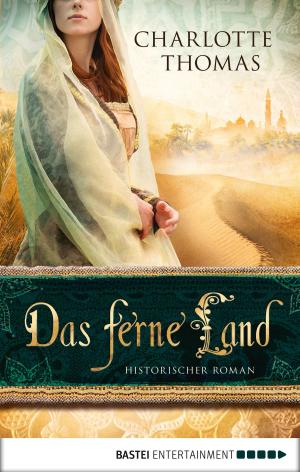 Cover of the book Das ferne Land by Christine Feehan
