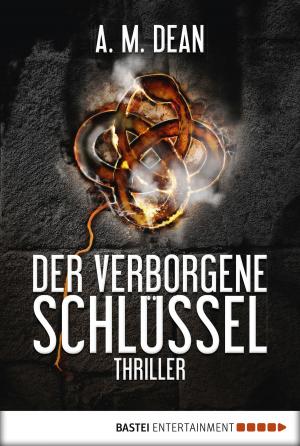 Cover of the book Der verborgene Schlüssel by David Weber