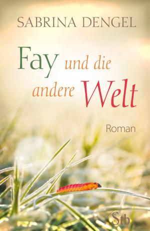 Book cover of Fay und die andere Welt
