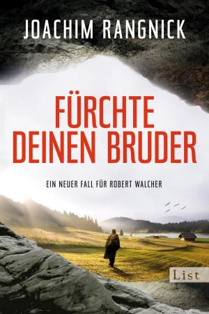 Cover of the book Fürchte deinen Bruder by Gerhart Hauptmann, Hubert Razinger
