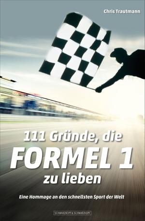 Cover of the book 111 Gründe, die Formel 1 zu lieben by Christoph Brumme