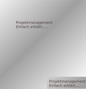 Cover of the book Projektmanagement by Kristine Tauch
