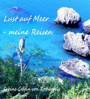 Cover of the book Lust auf Meer by Lena Sachermann