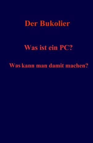 Cover of the book Was ist ein PC? Was kann man damit machen? by Christian Geiss