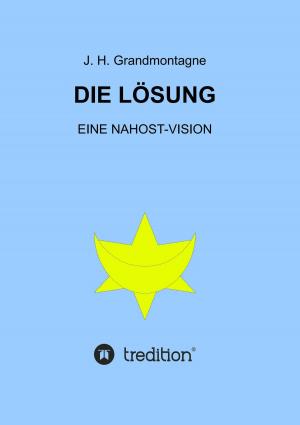 Cover of the book Die Lösung by Motschi von Richthofen