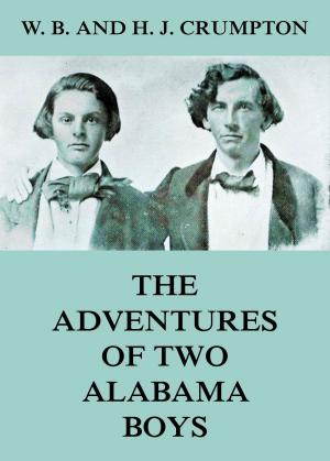 Book cover of The Adventures of Two Alabama Boys