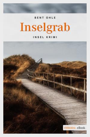 Book cover of Inselgrab