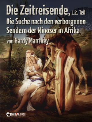 Cover of the book Die Zeitreisende, 12. Teil by Holda Schiller