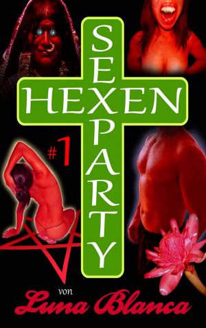 Cover of the book Hexen Sexparty 1: Eine fehlt! by Nicky Blue
