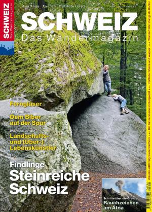 Cover of the book Findlinge by Redaktion Wandermagazin Schweiz