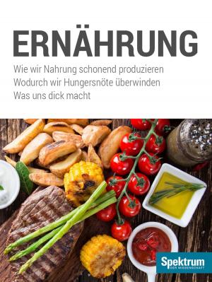 bigCover of the book Ernährung by 