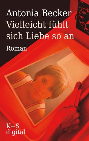 Cover of the book Vielleicht fühlt sich Liebe so an by Marco Antonio Diaz